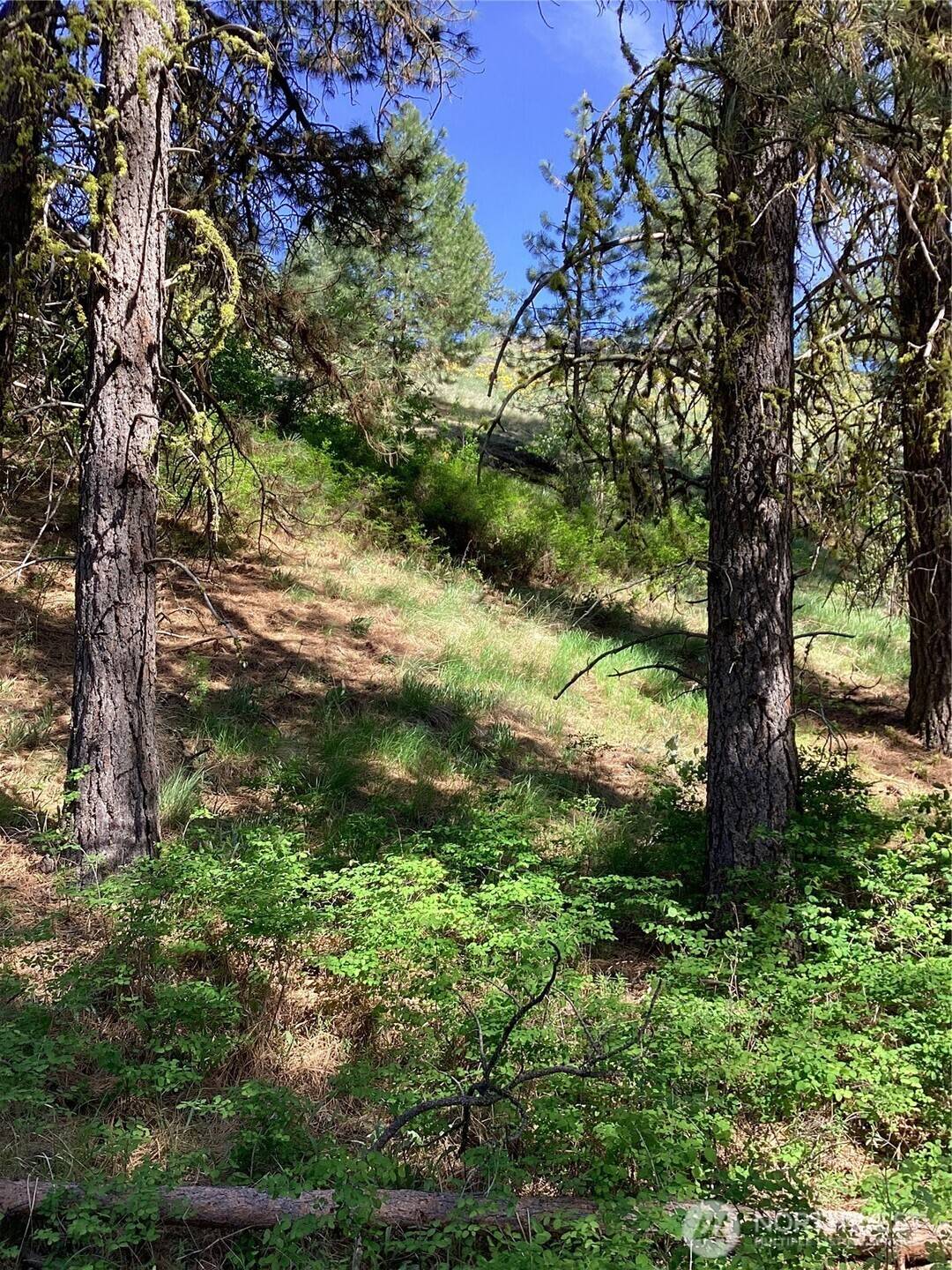 Tonasket, WA 98855,19 Lot, Doe LN