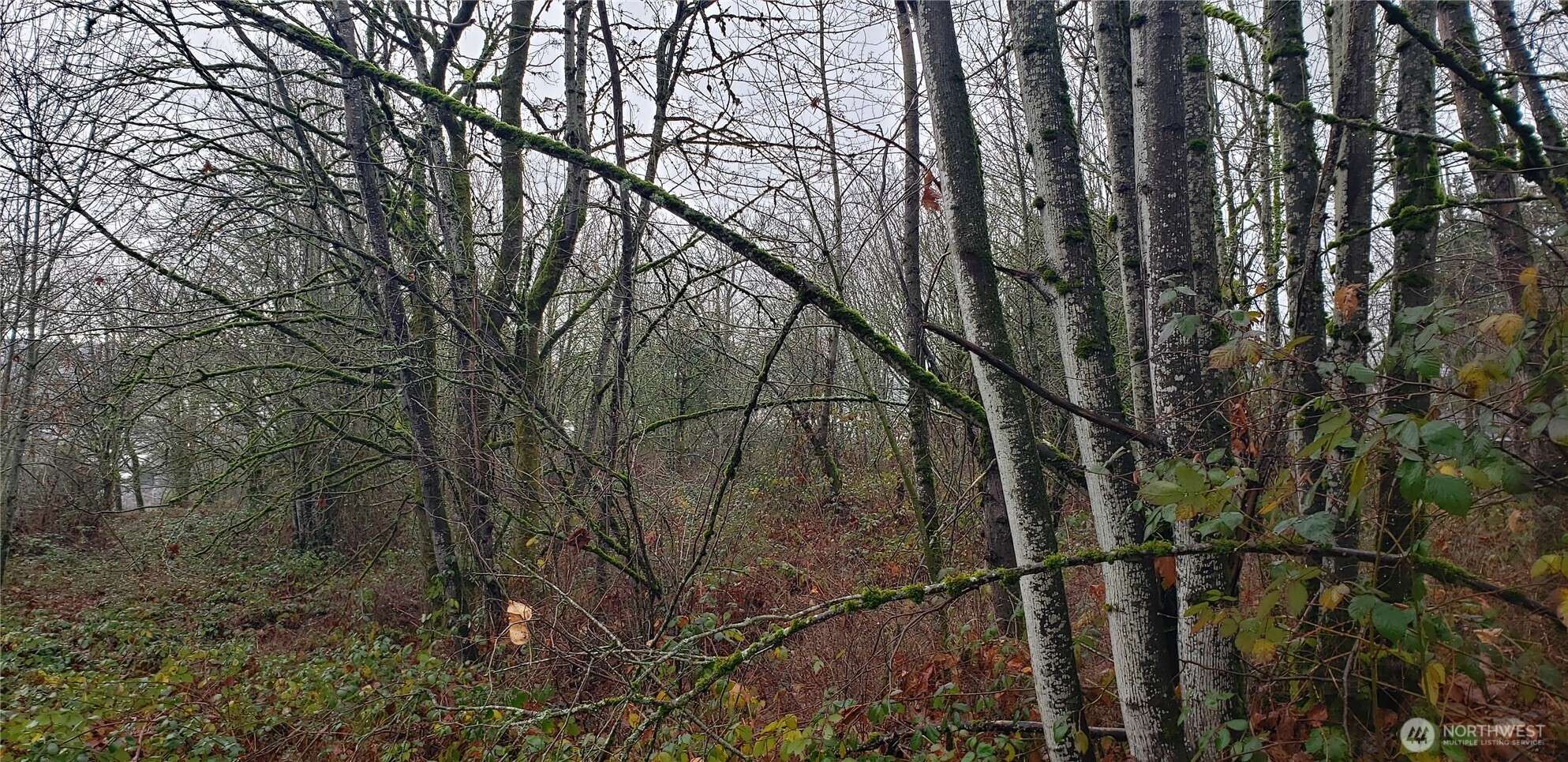 Kent, WA 98031,234 XX 94th AVE S
