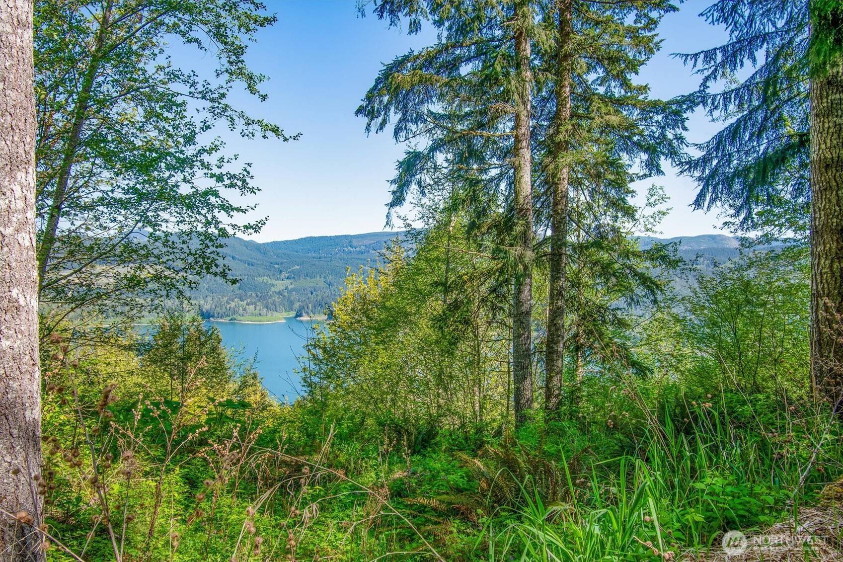 Mossyrock, WA 98564,267 Alta Vista DR