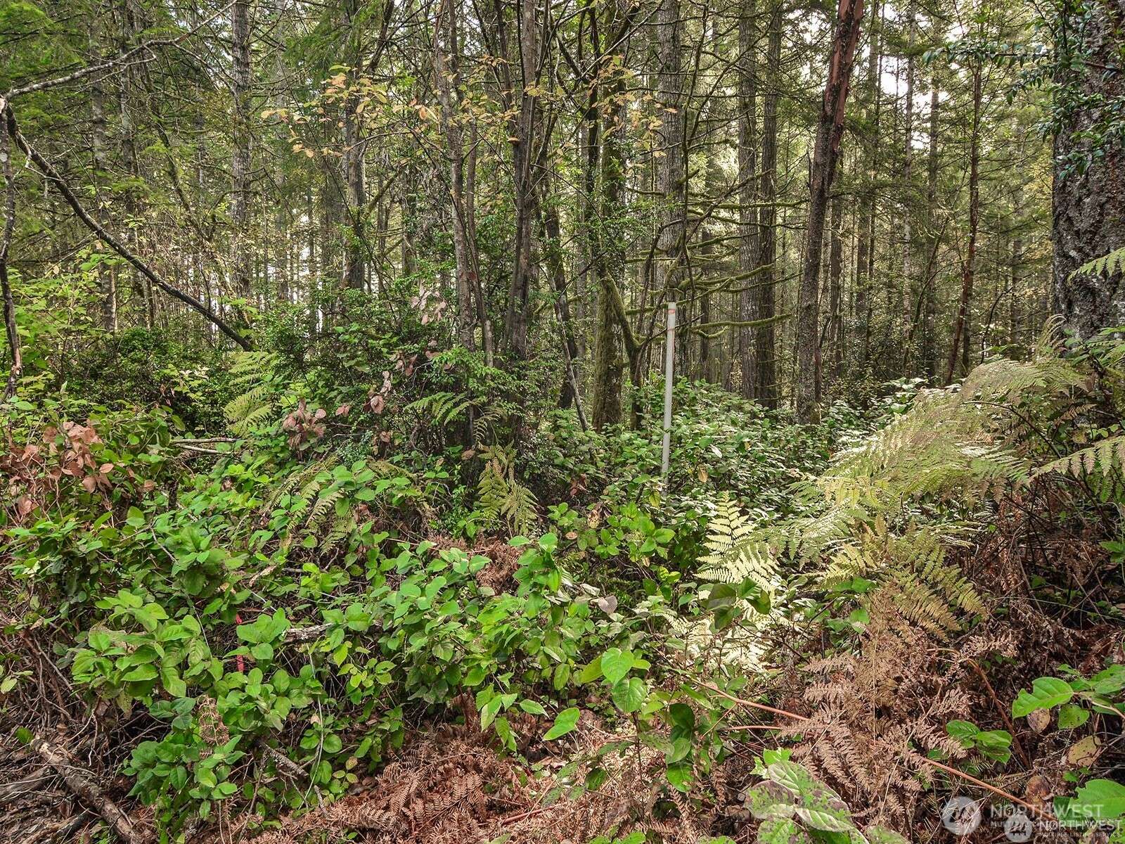 Gig Harbor, WA 98329,16614 154th ST NW