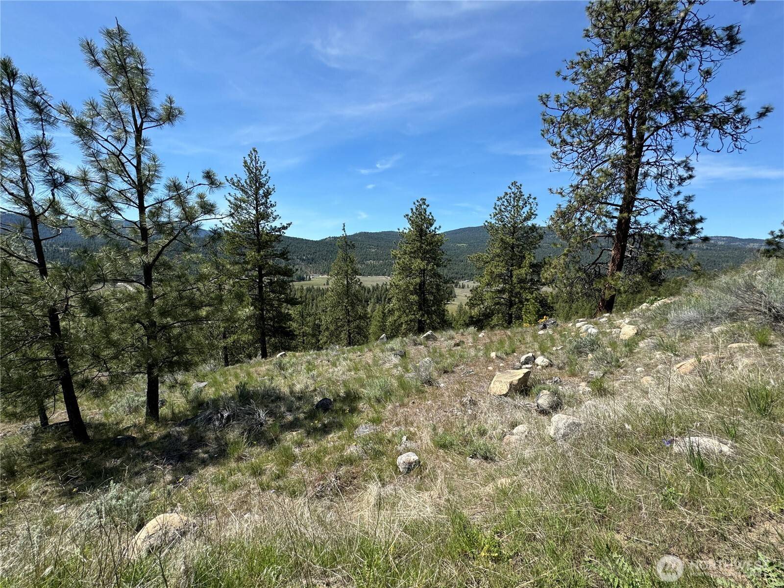 Tonasket, WA 98855,0 Cape Labelle/Neil Circle