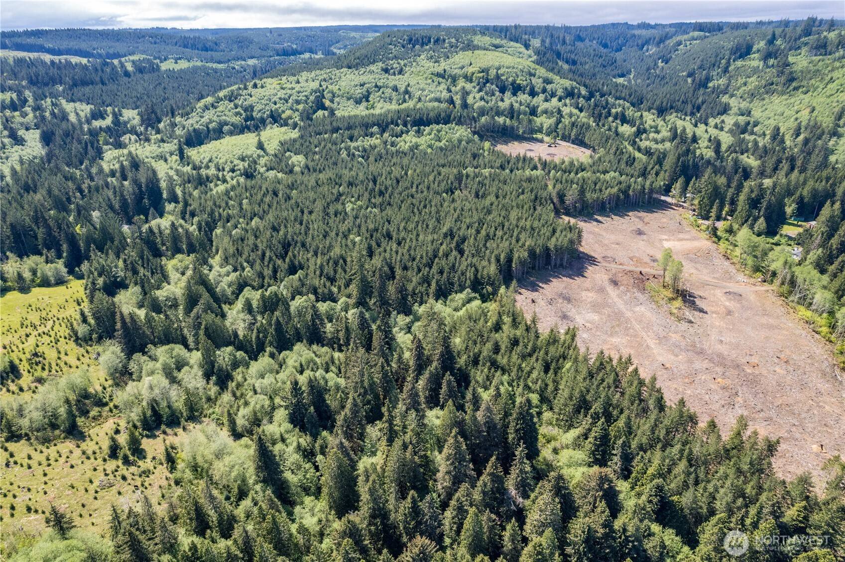 Longview, WA 98632,0 Orion RD