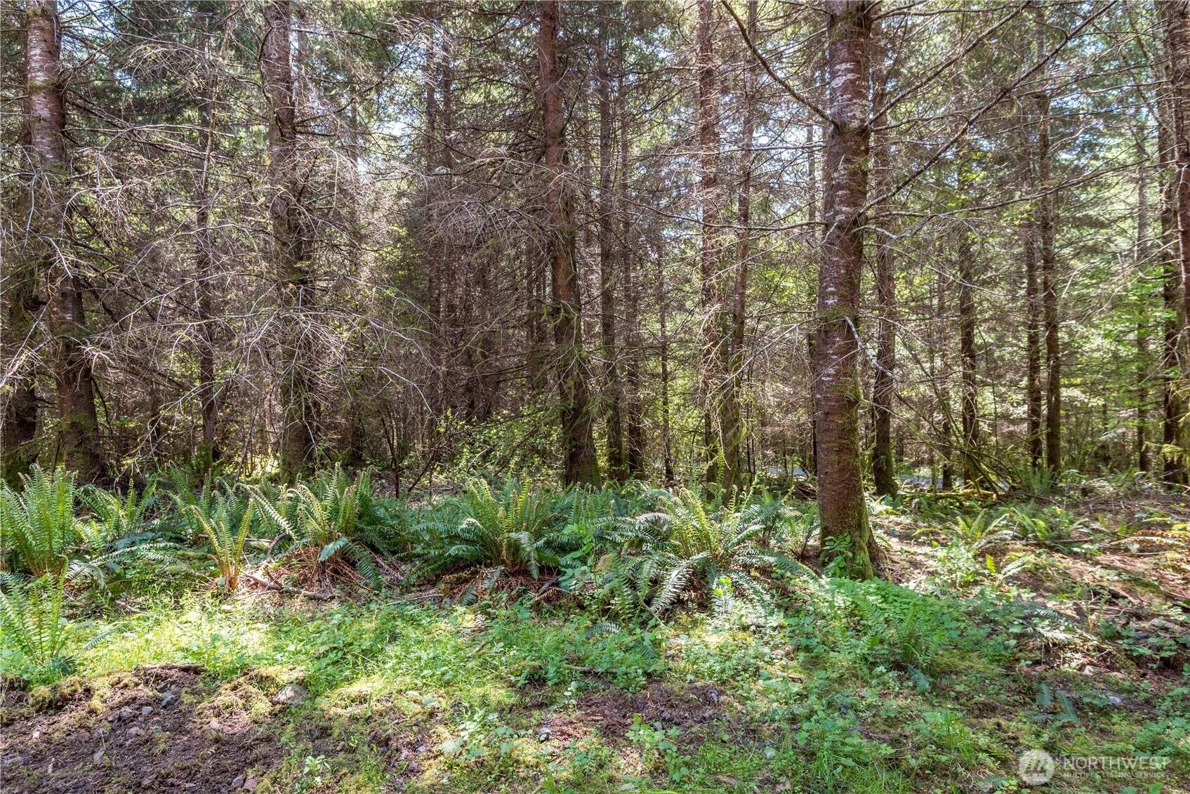 Longview, WA 98632,0 Orion