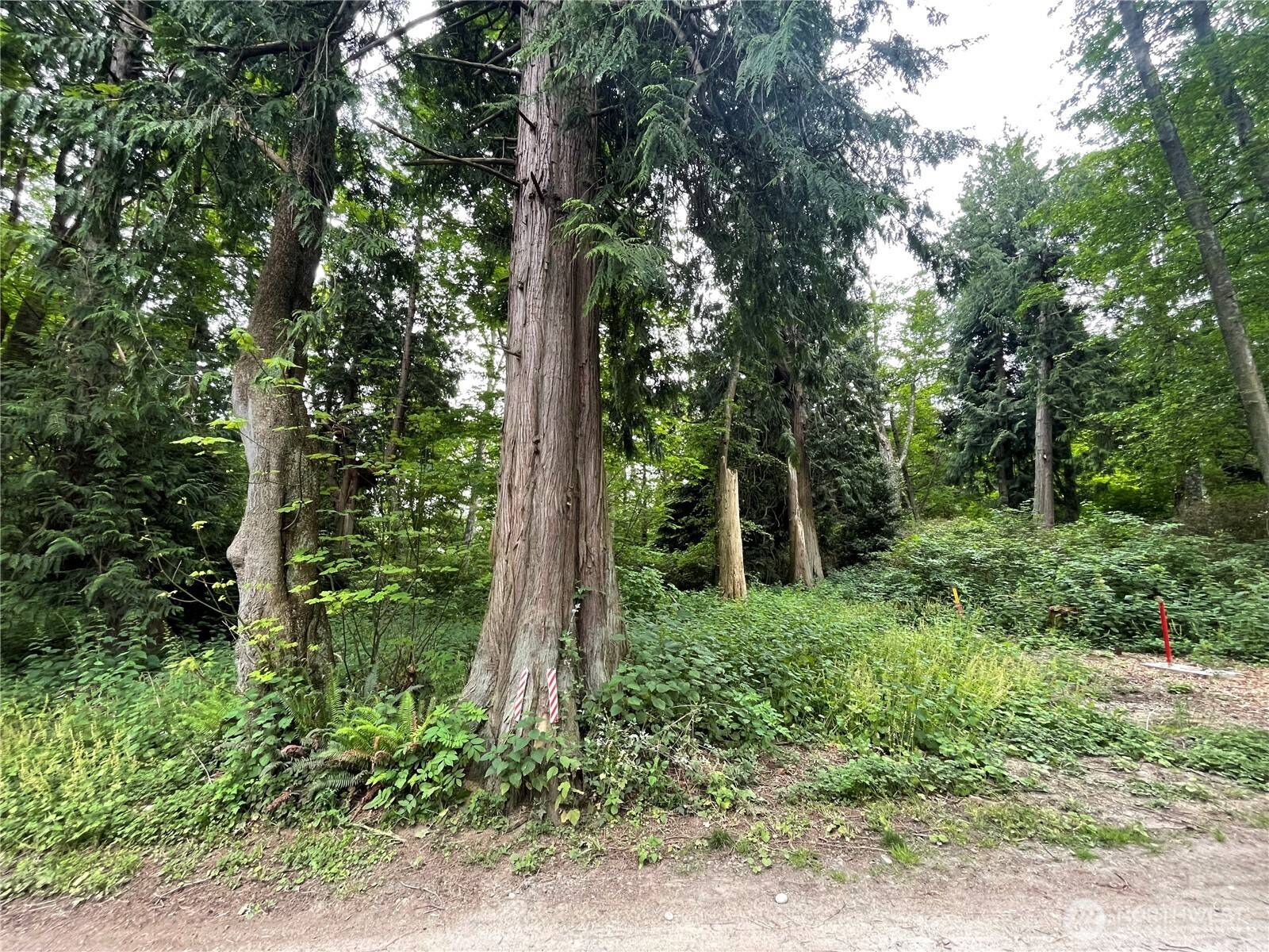 Hat Island, WA 98206,52 F Saratoga DR