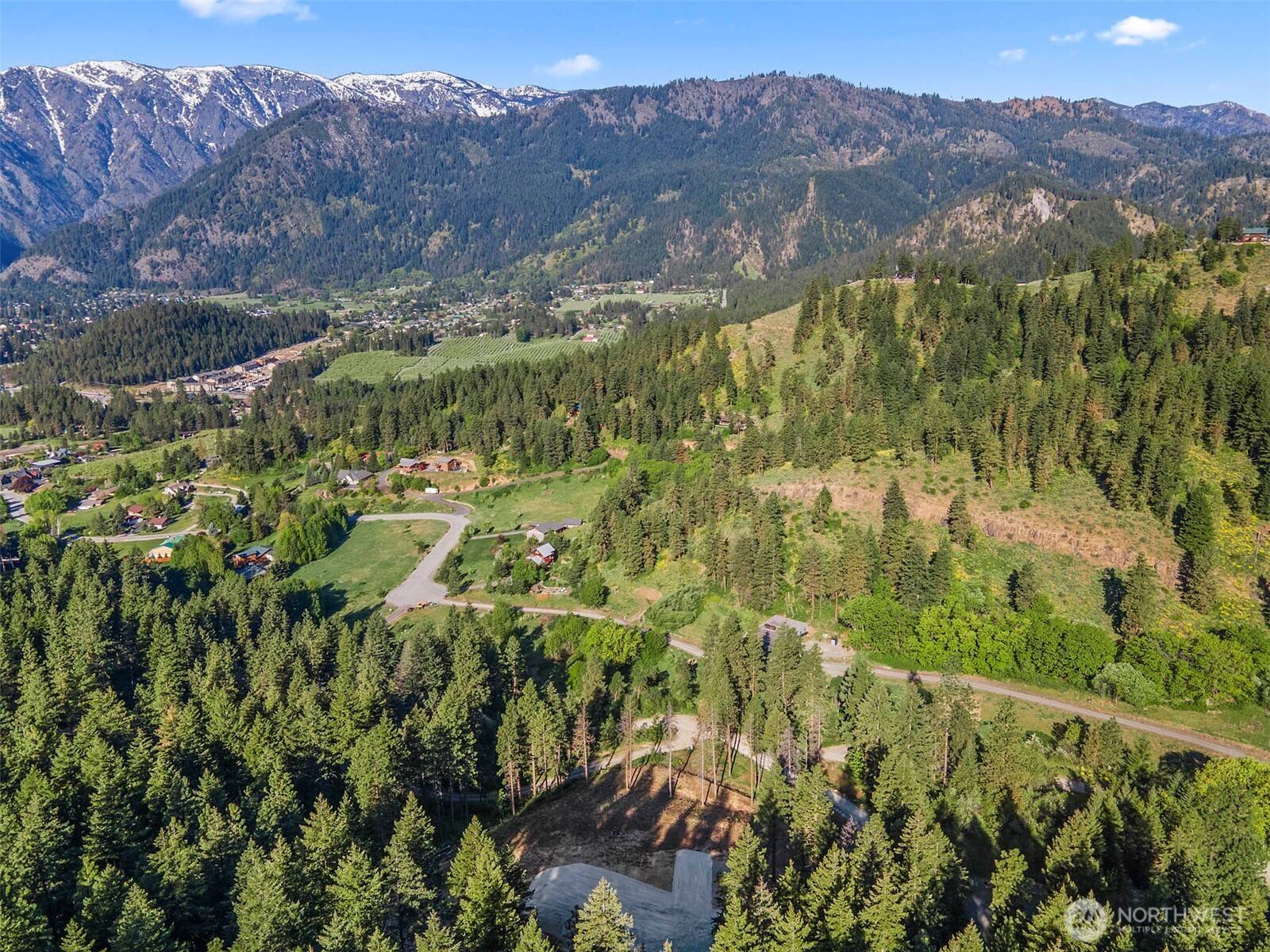 Leavenworth, WA 98826,25 Foxridge LN
