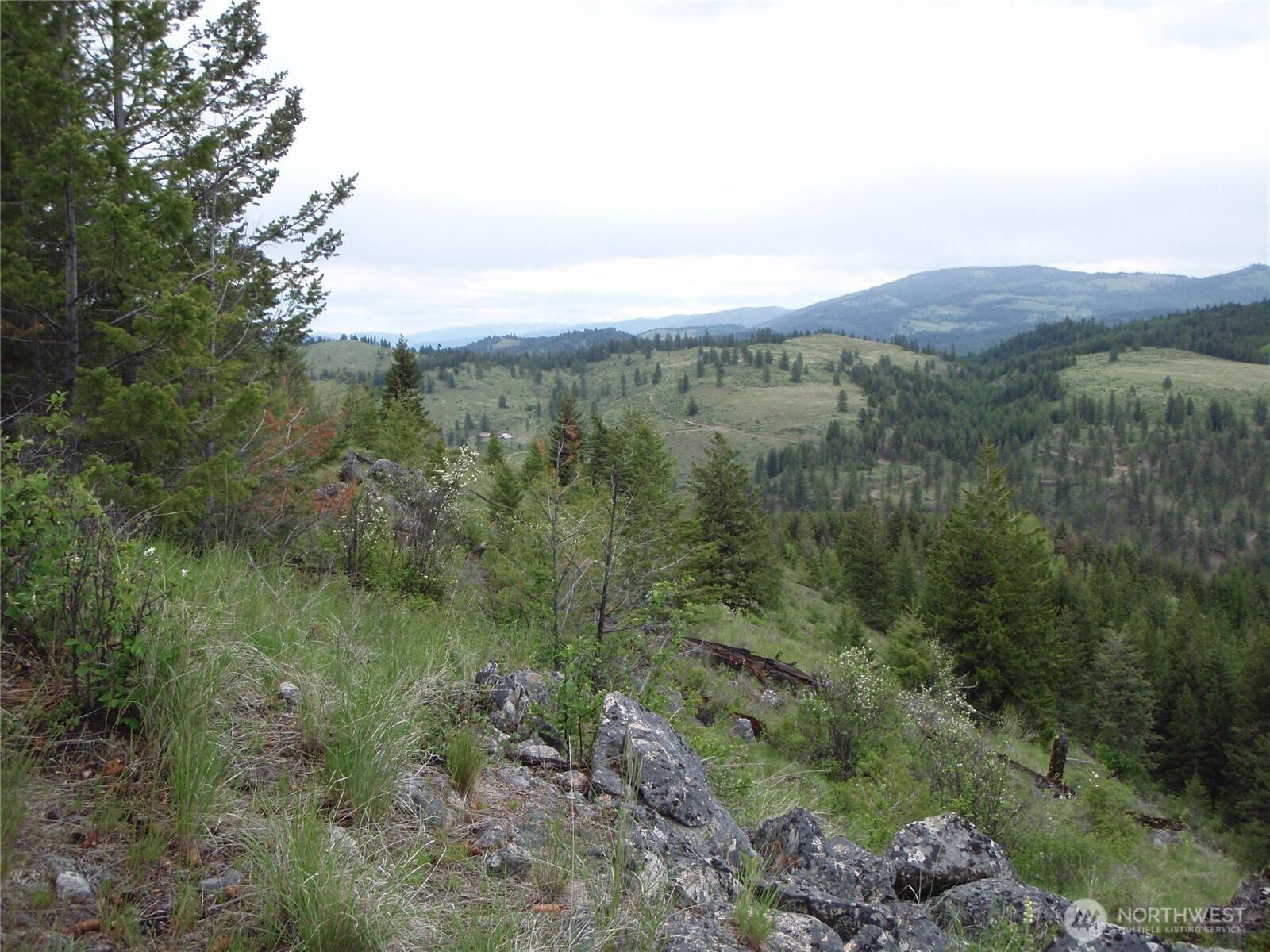 Curlew, WA 99118,0 Edgewood LN
