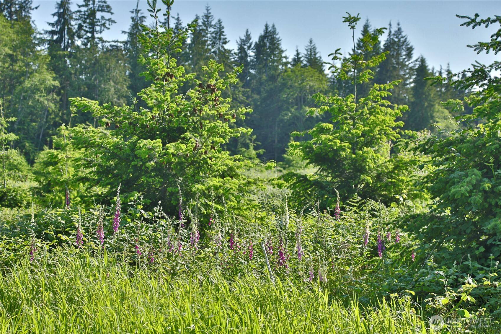 Freeland, WA 98249,2062 Goodell RD