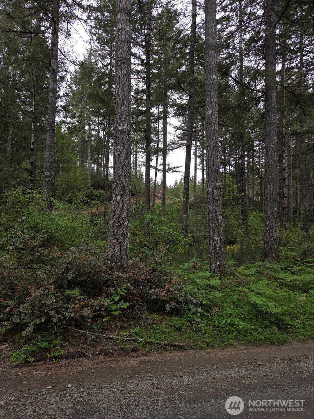 Union, WA 98592,490 E Pinedirosa RD #B