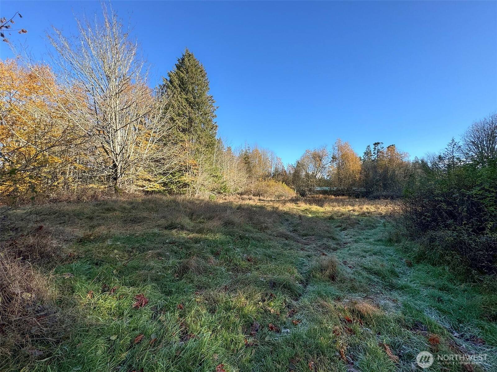 Port Angeles, WA 98362,9999 E Greentree Ln