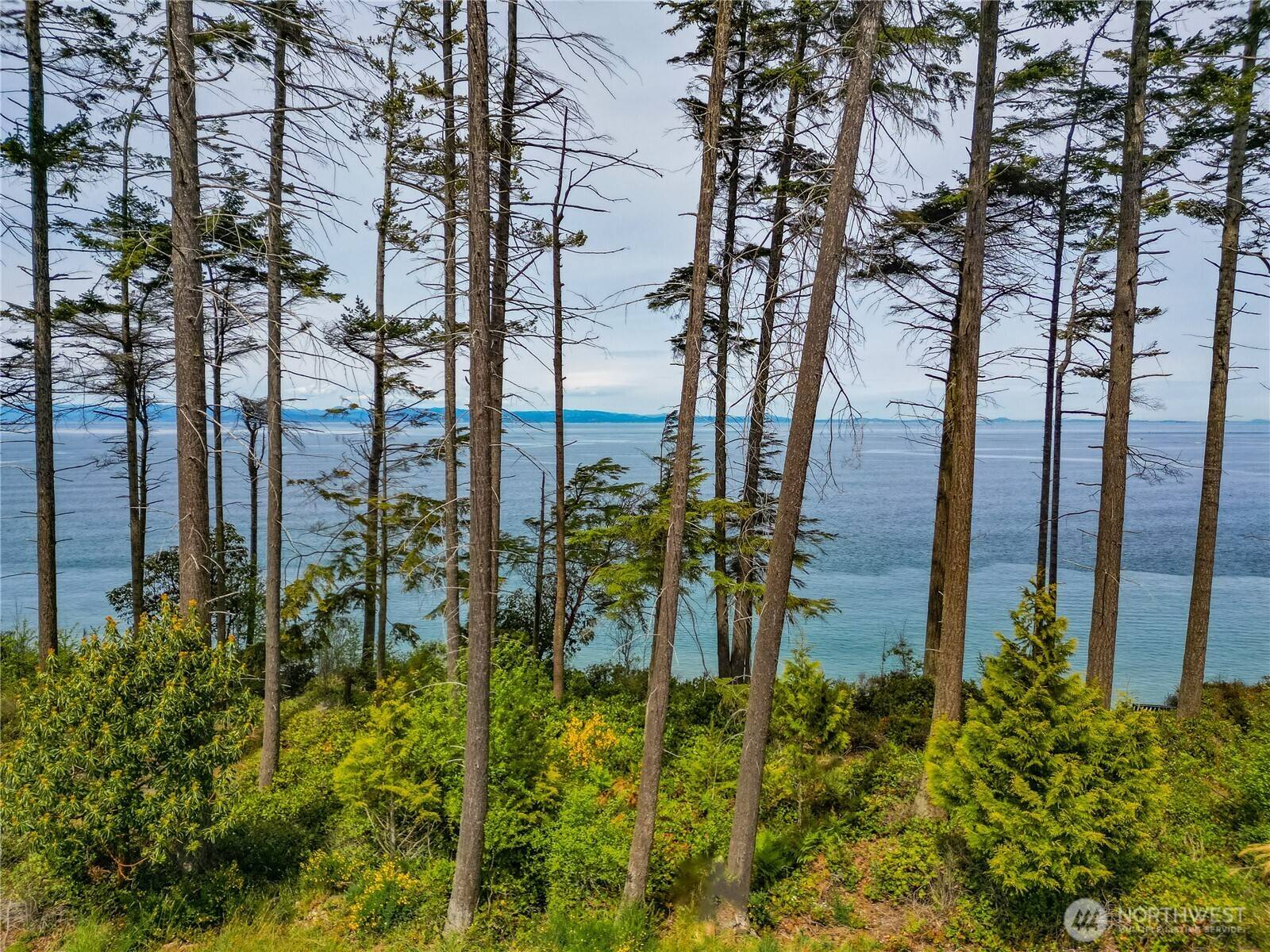 Port Angeles, WA 98363,1020 Walker ST