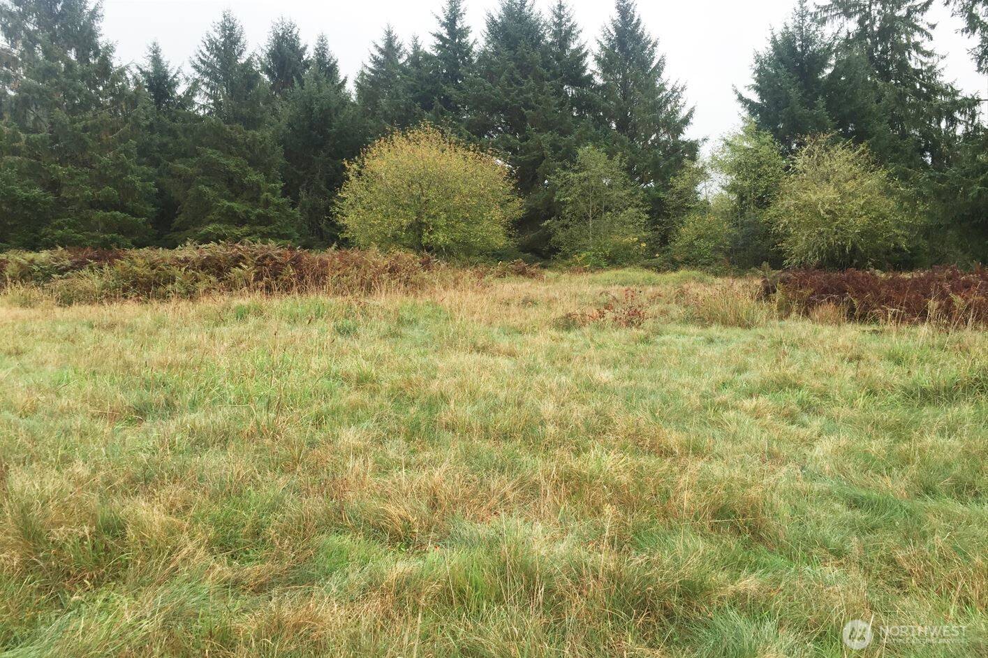 Naselle, WA 98638,0 South Valley RD #Lot 5