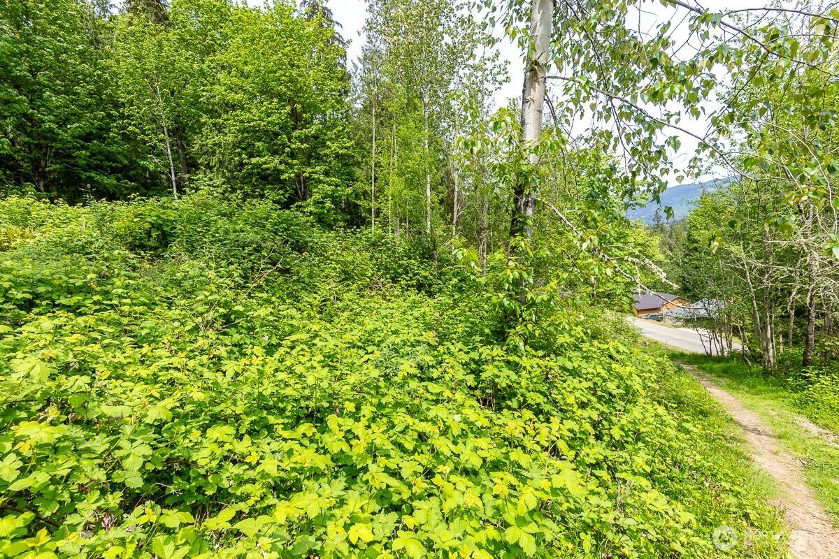 Sedro Woolley, WA 98284,333 W Alder DR