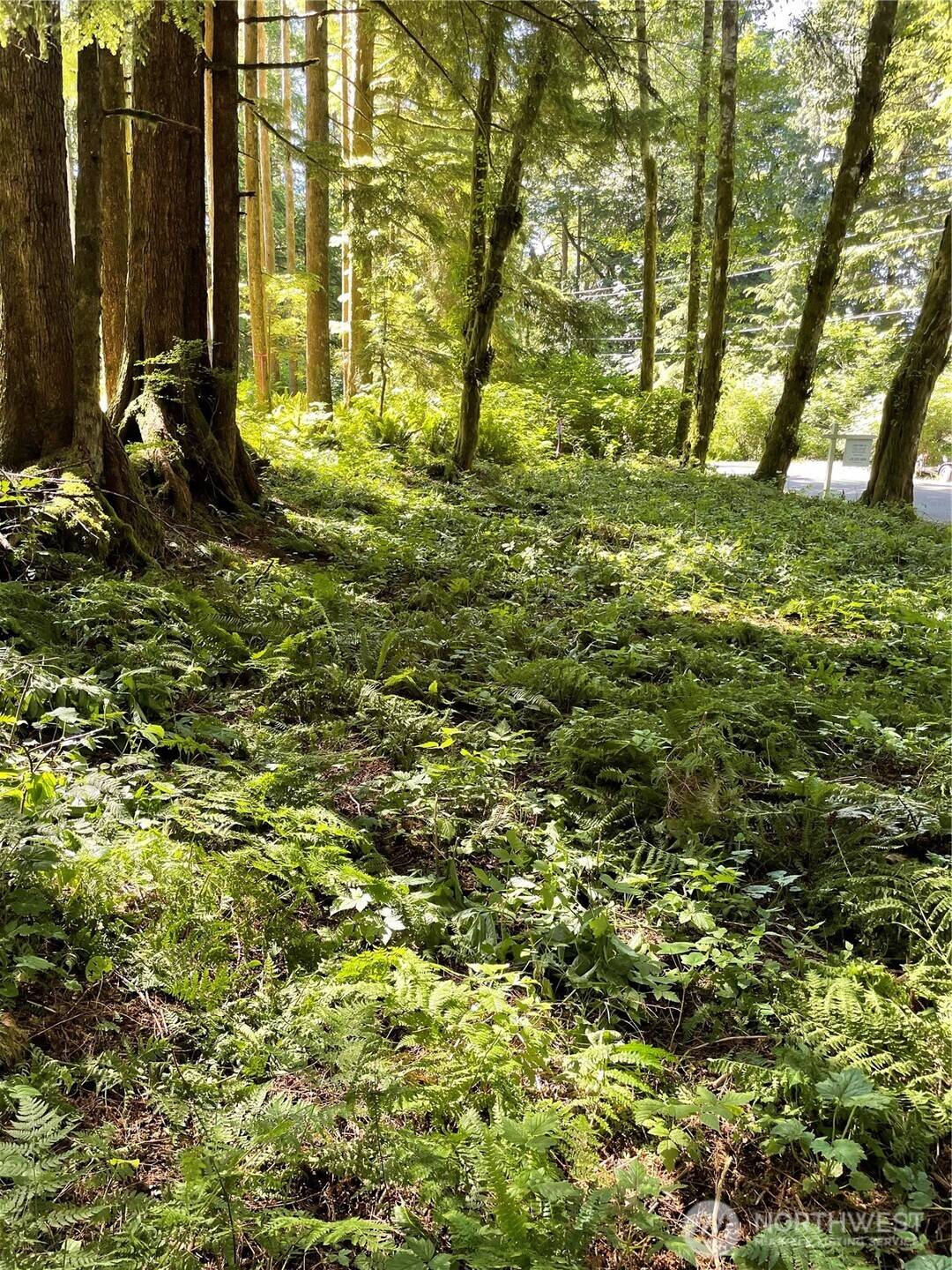 Mount Vernon, WA 98274,0 XXXXX S Shore DR