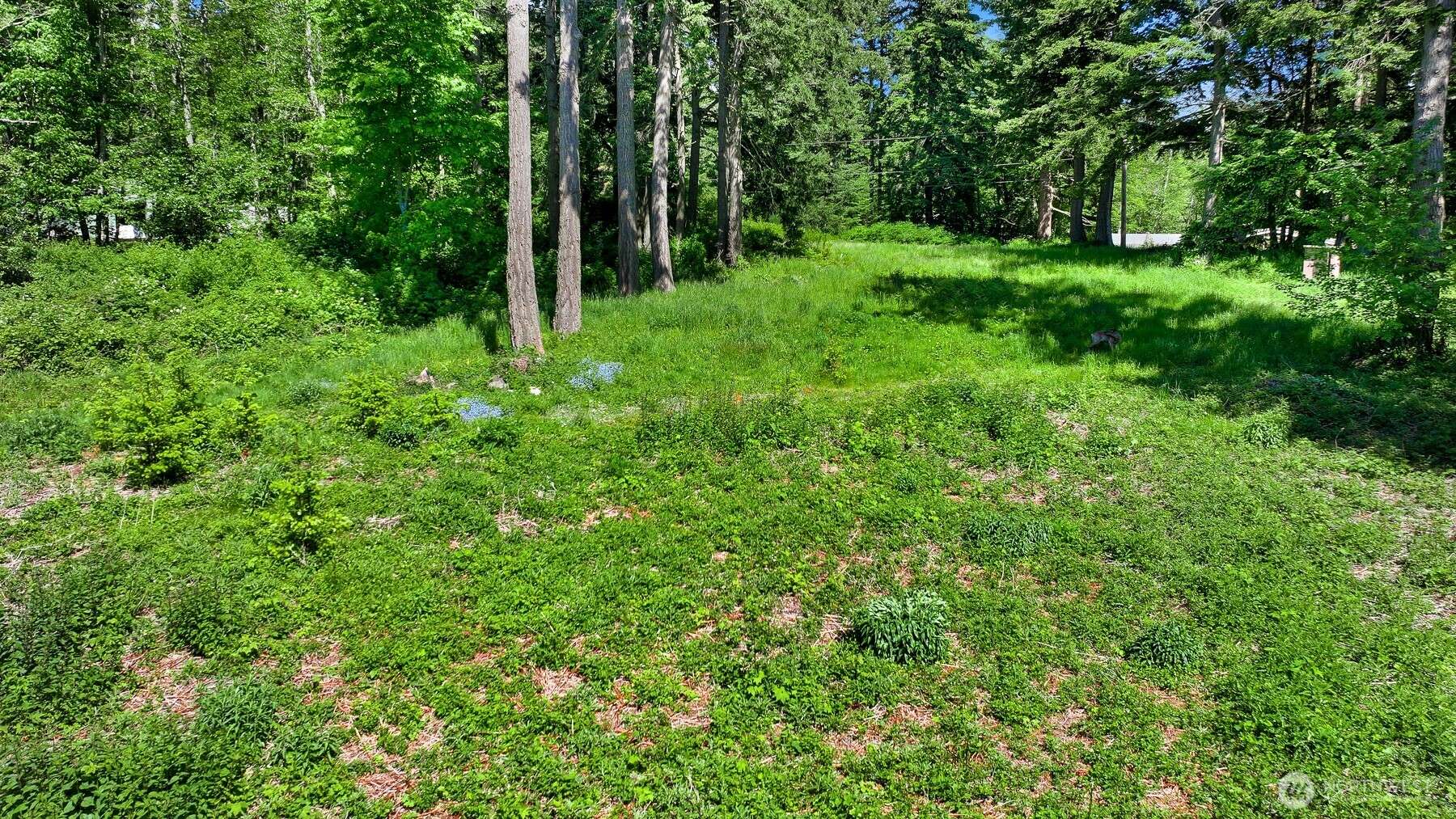 Lummi Island, WA 98262,2093 Granger WAY