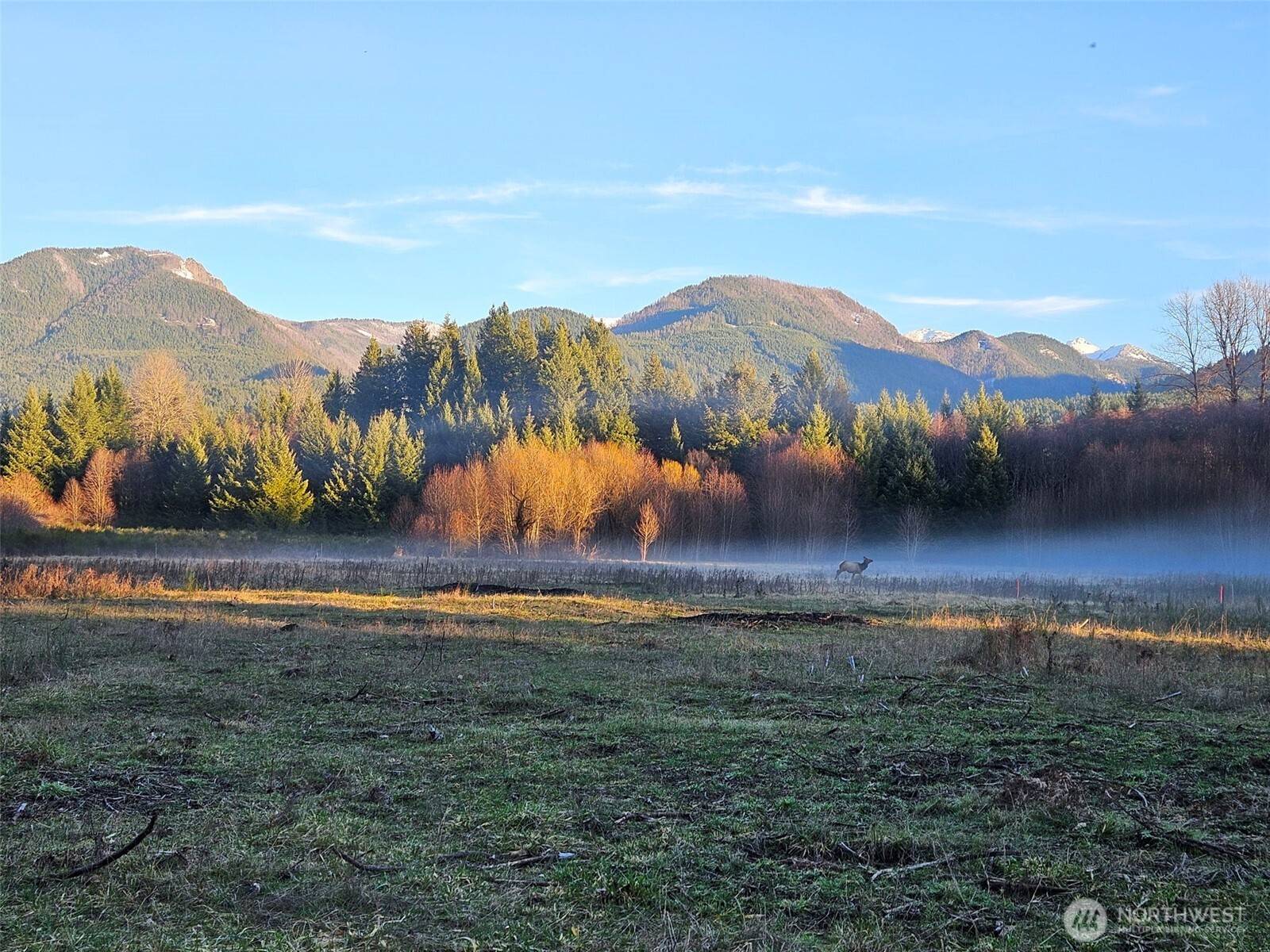 Packwood, WA 98361,127 Campfire LN