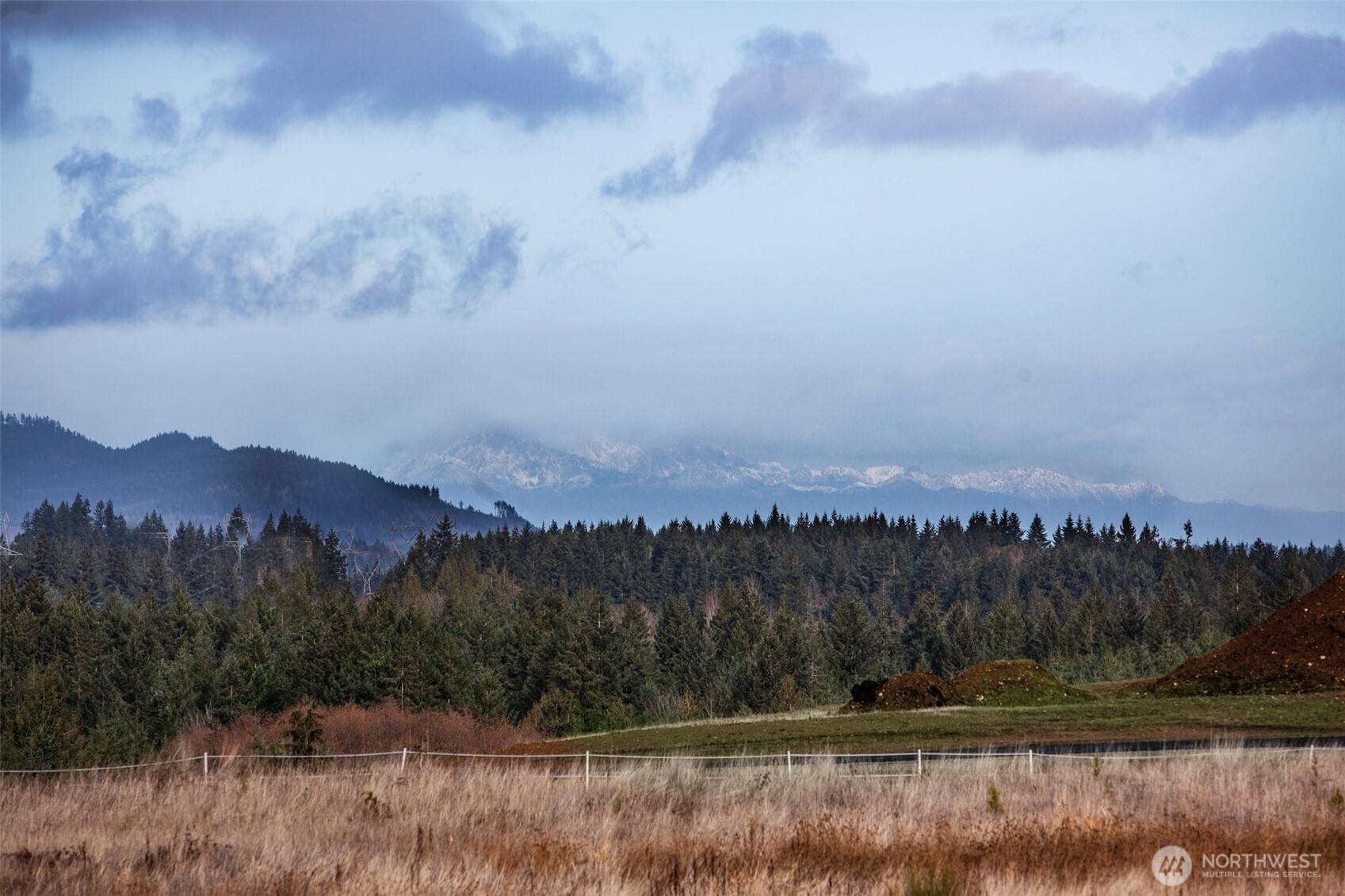 Rochester, WA 98579,13907 Quiet Waters LN SW