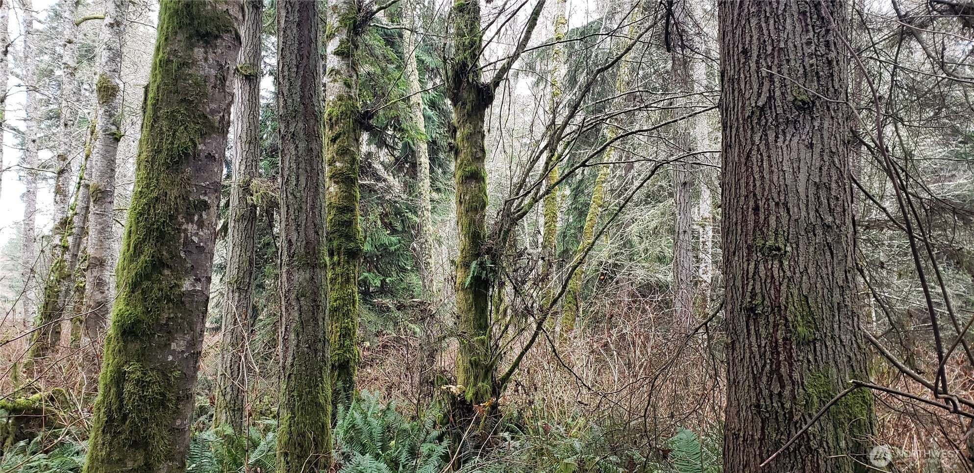 Kingston, WA 98346,28 xxx NE State Hwy 104