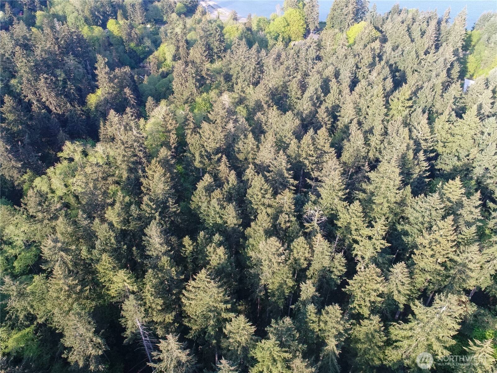 Vashon, WA 98070,0 SW 212th Street