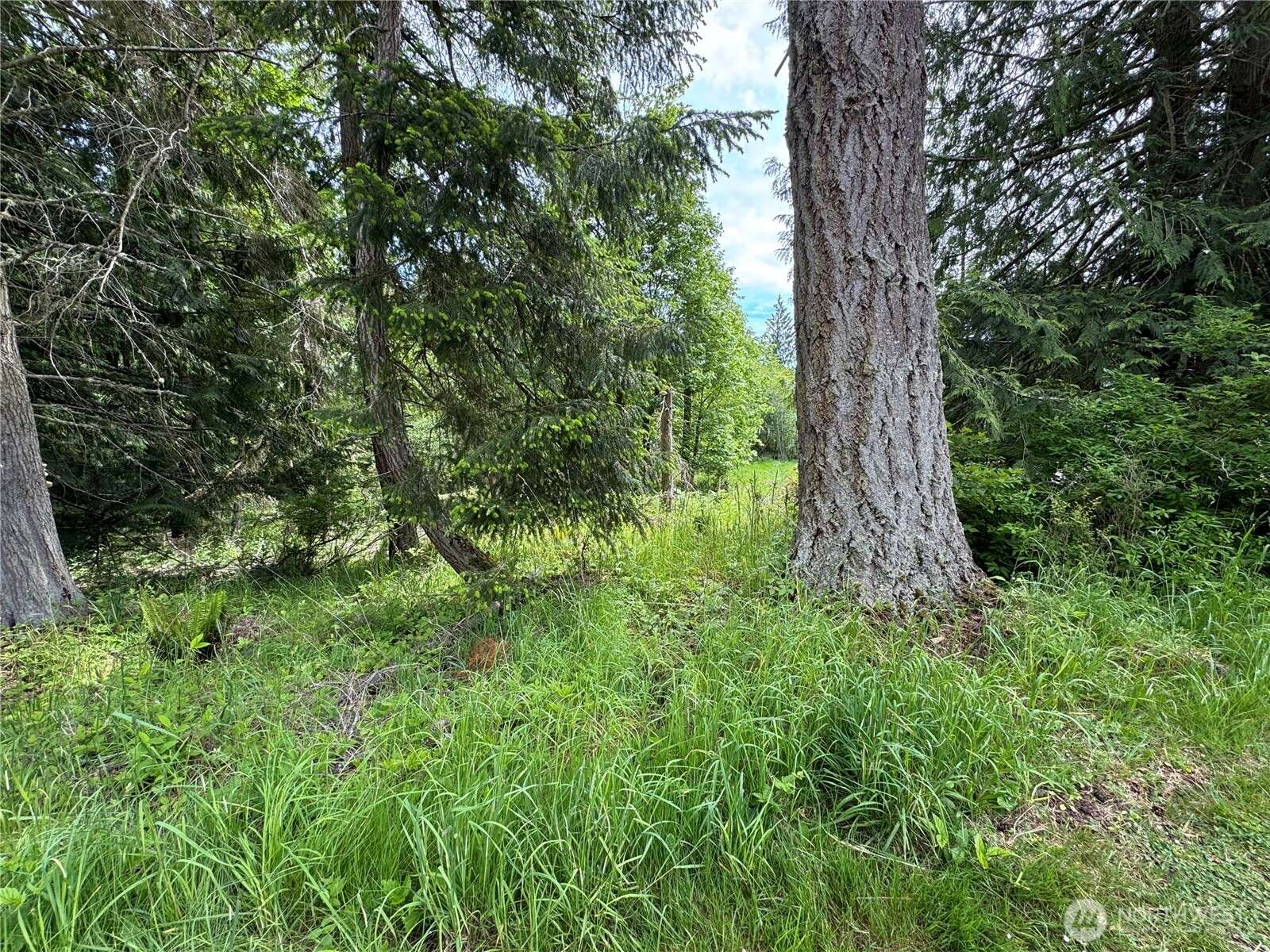 Port Ludlow, WA 98365,371 Rainier LN
