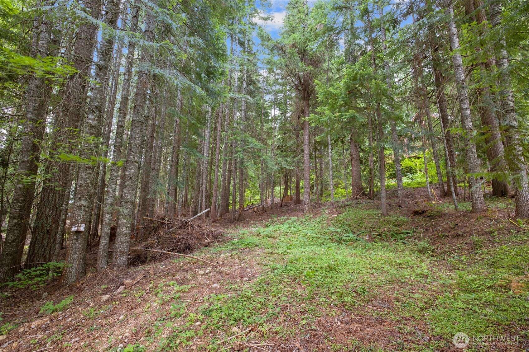 Easton, WA 98925,180 Alpine LN