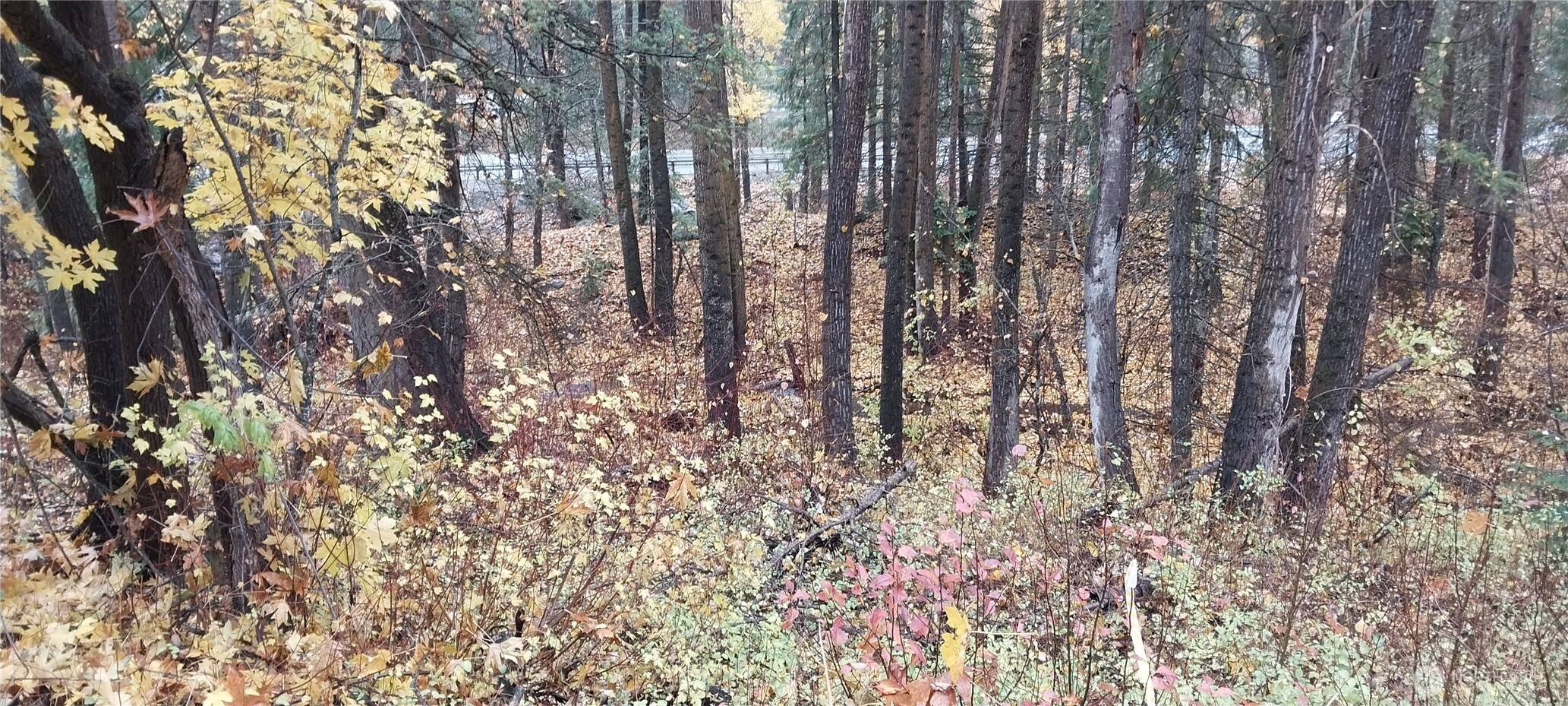 Peshastin, WA 98847,0 NNA Ingalls Cr Road