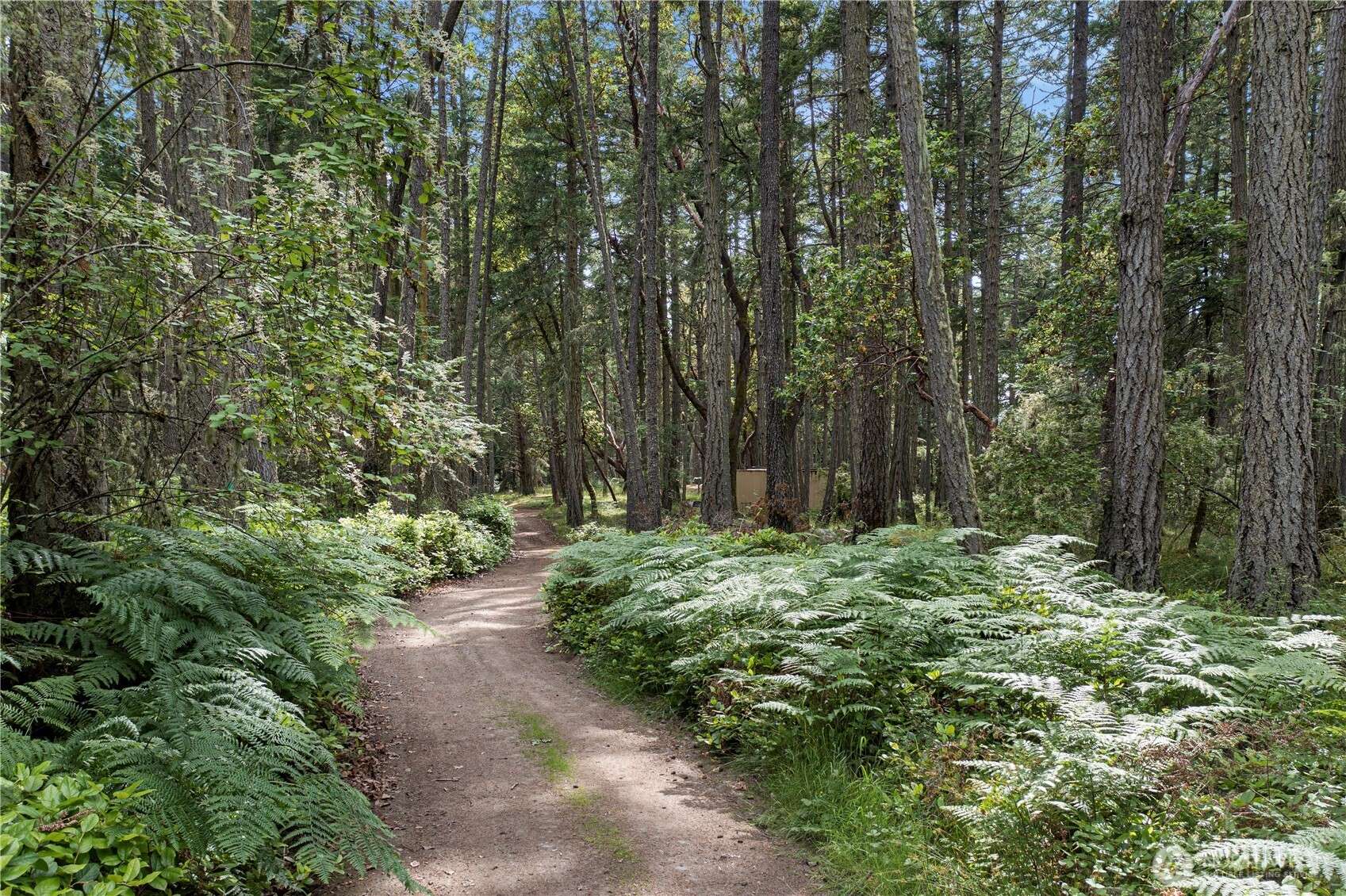Henry Island, WA 98250,16 Driftwood DR