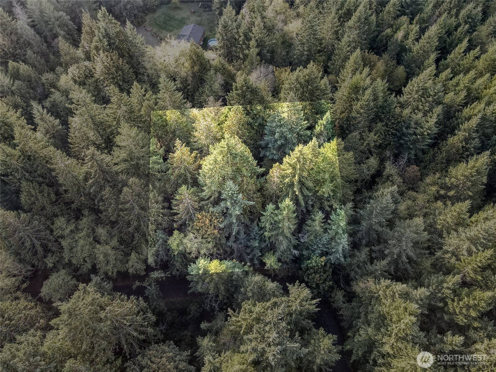 Shelton, WA 98584,91 Sylvan RD