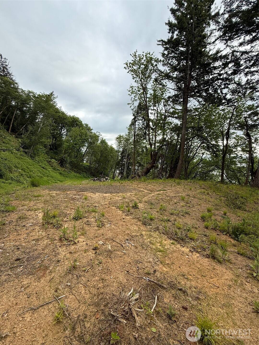 Rosburg, WA 98643,0 Altoona Pillar Rock RD