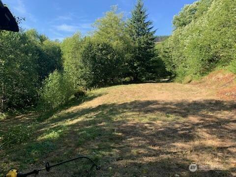 Toutle, WA 98649,0 2500 RD
