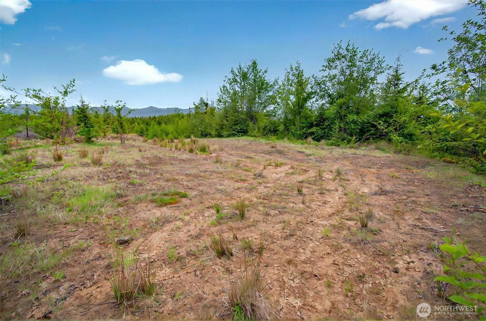 Naselle, WA 98638,5 Parpala RD #5
