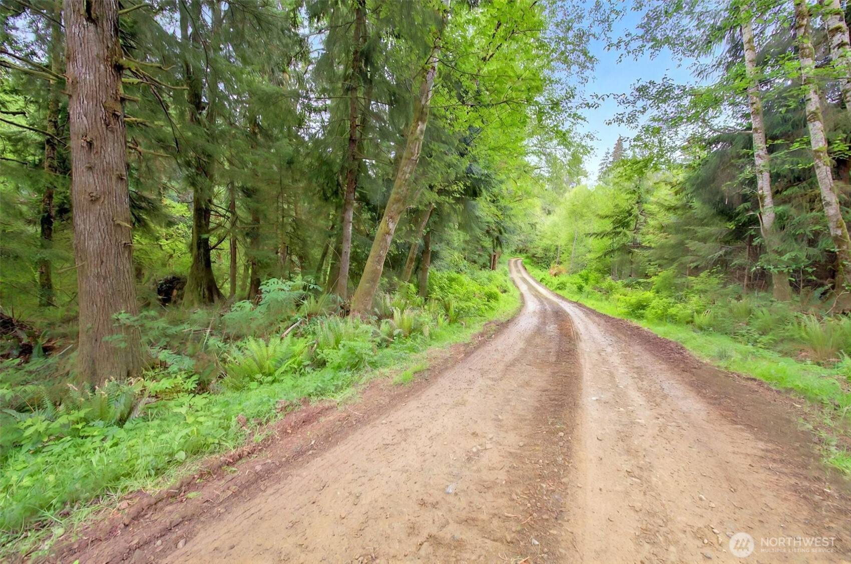 Naselle, WA 98638,3 Parpala RD #3