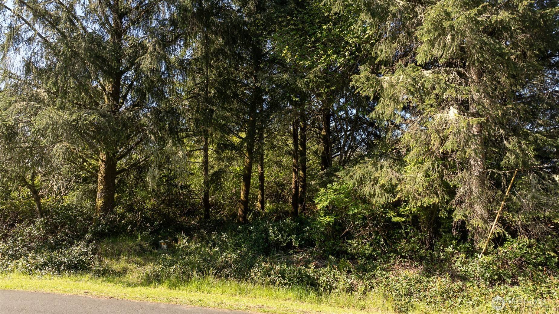 Ocean Shores, WA 98569,893 Albion AVE SE
