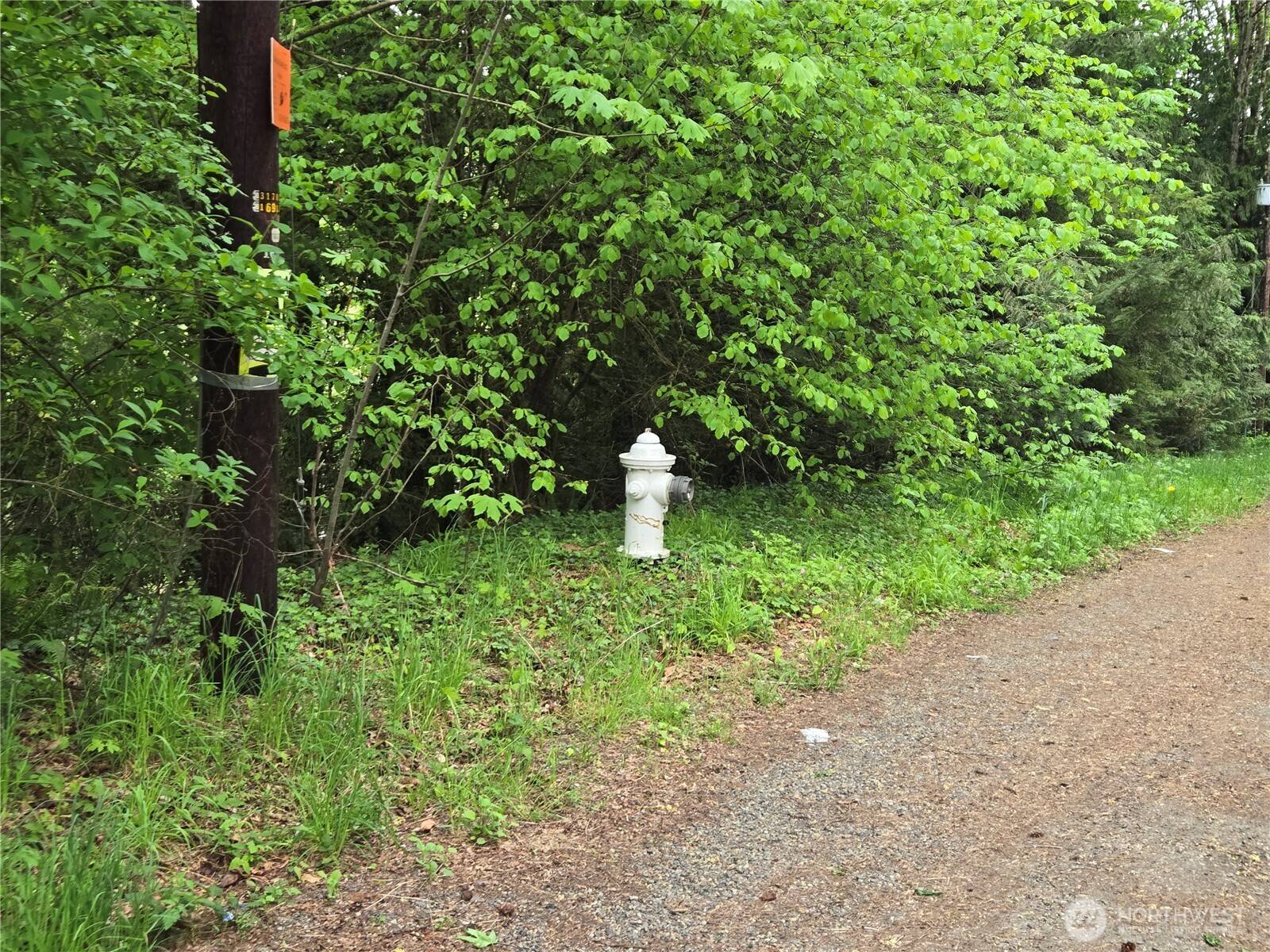 Renton, WA 98058,160 XX 193rd Ave SE