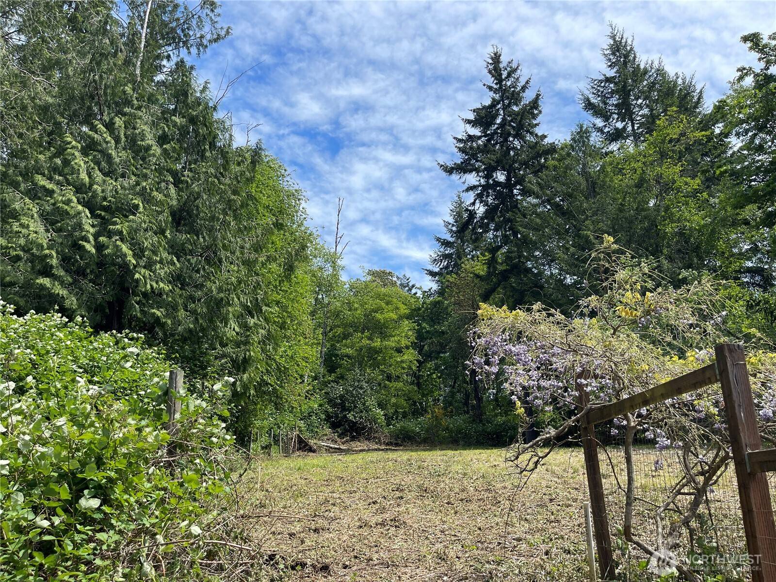 Bainbridge Island, WA 98110,0 Lot 9 Parkview DR NE