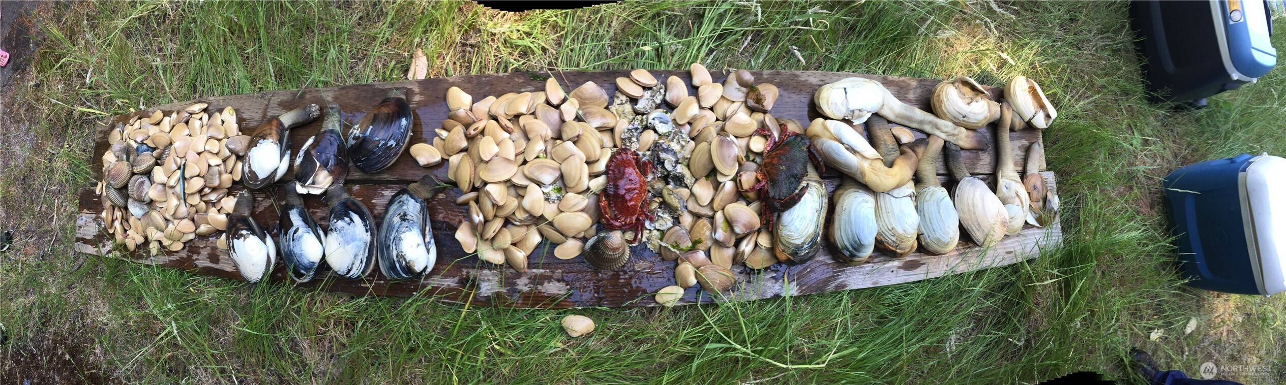 Gig Harbor, WA 98335,11600 32nd ST NW