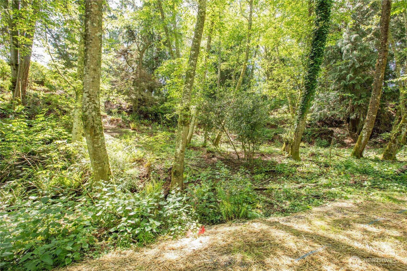Clinton, WA 98236,0 XXX George DR