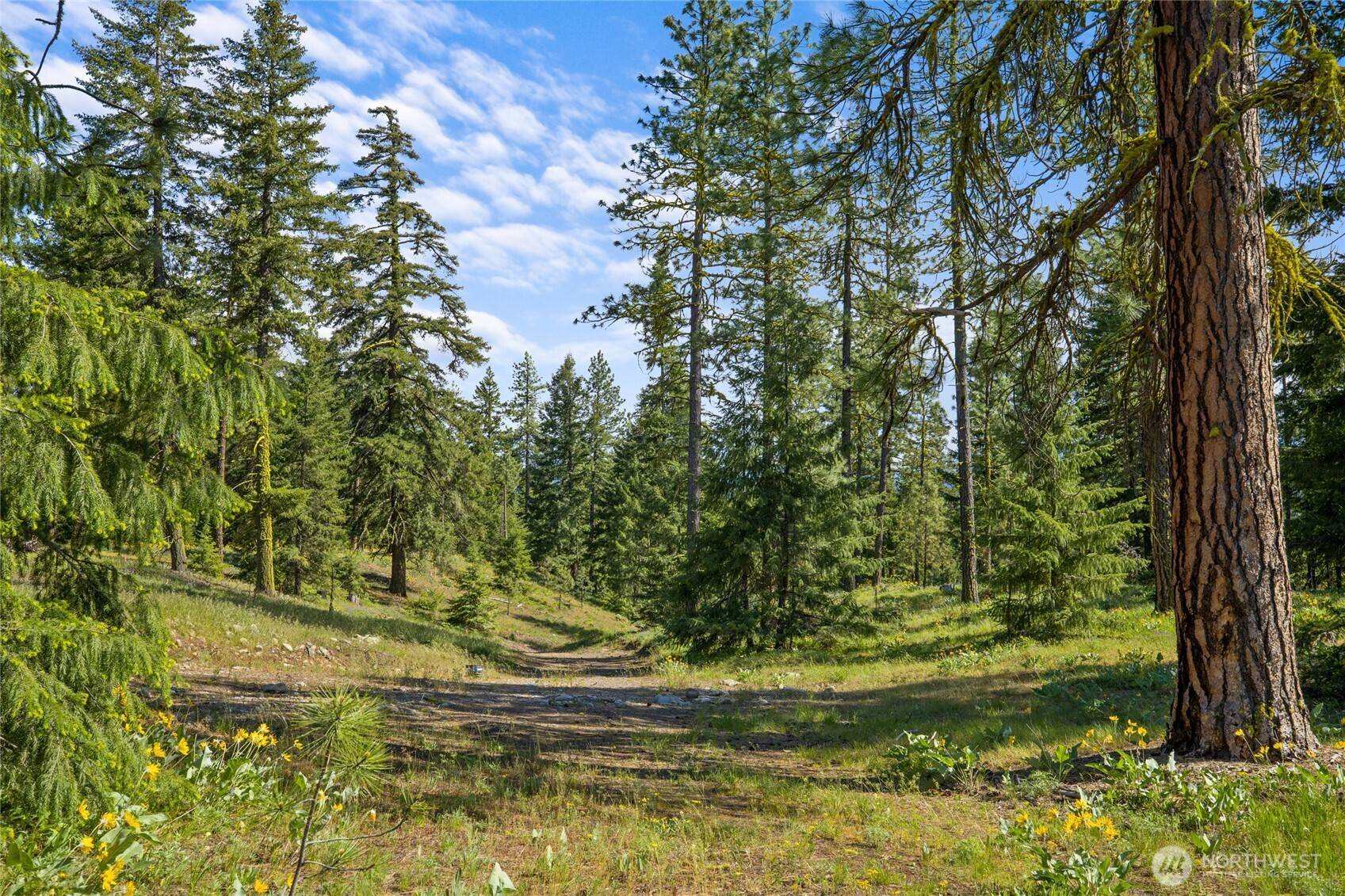 Cle Elum, WA 98922,16 Wanawish LOOP