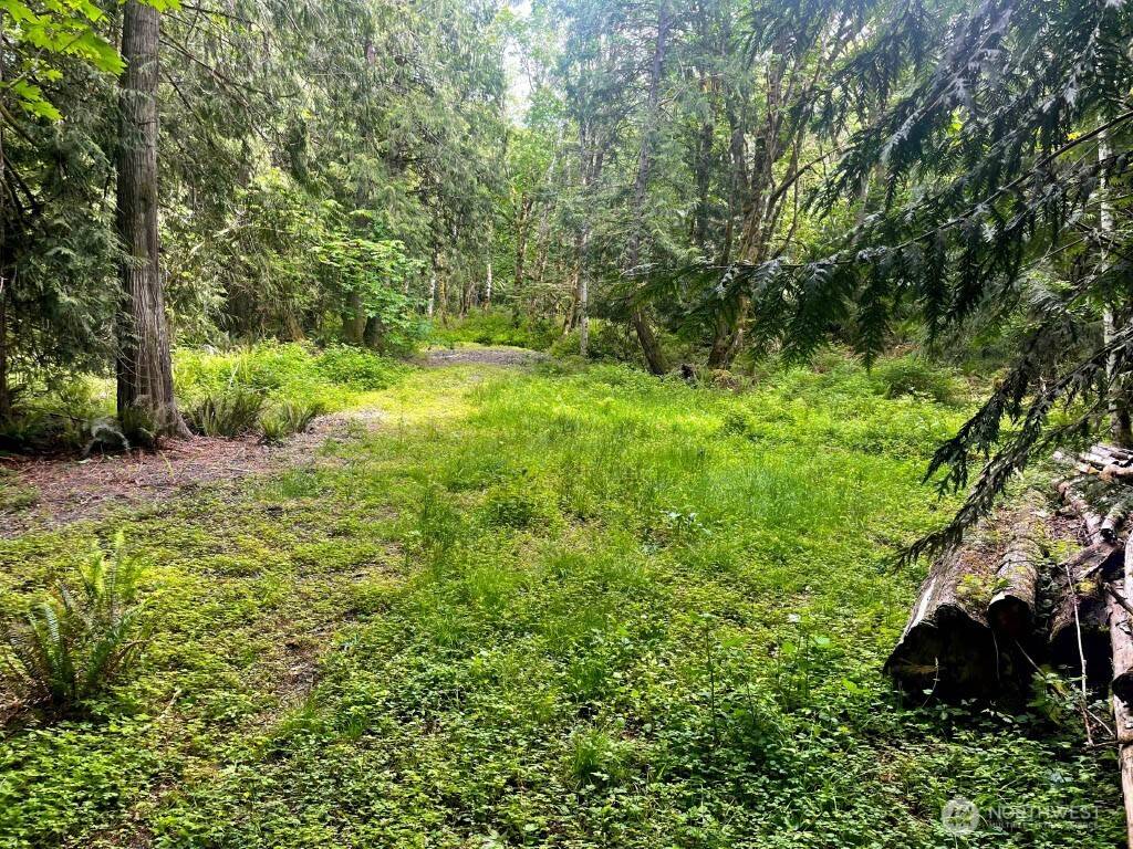Quilcene, WA 98376,293 Zion View LN