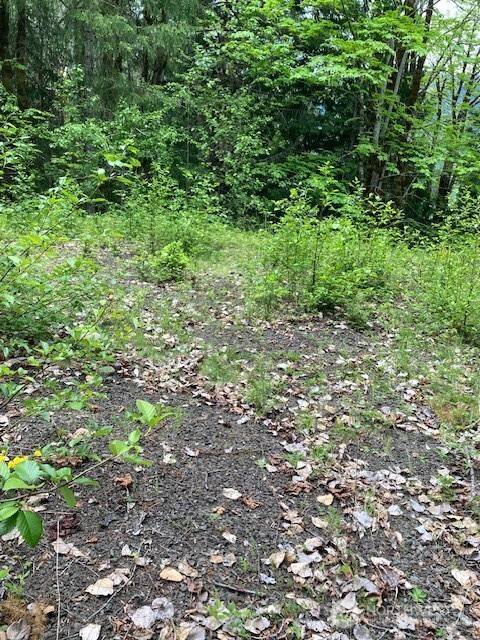 Hoodsport, WA 98548,246 N Lakeshore PL