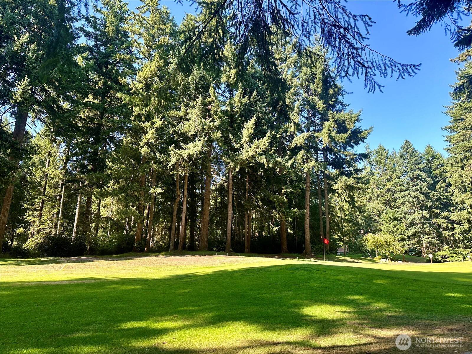 Anderson Island, WA 98303,11307 & 11311 Country Club DR