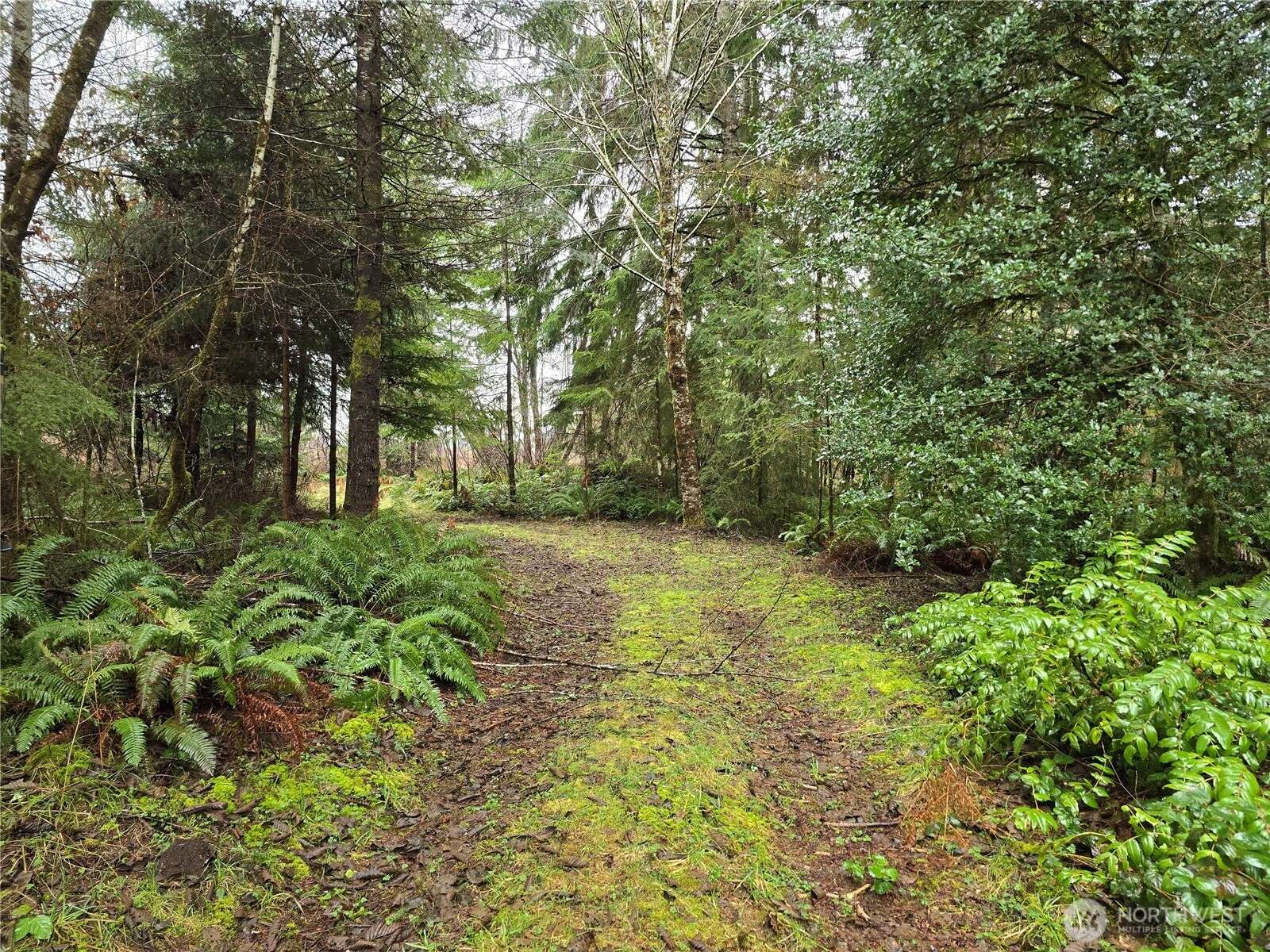 Elma, WA 98541,261 W Elk Hill RD