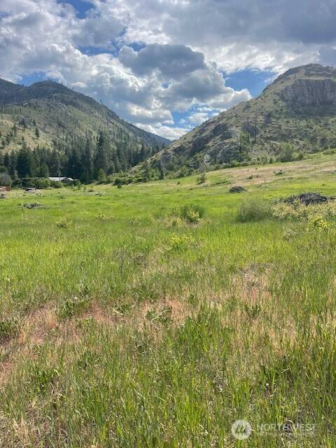 Pateros, WA 98846,0 Lot 3 Black Canyon RD
