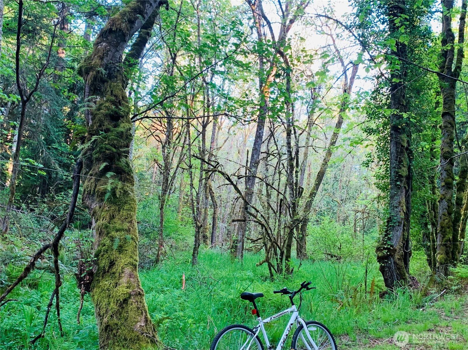 Port Orchard, WA 98366,7817 E Hilldale RD