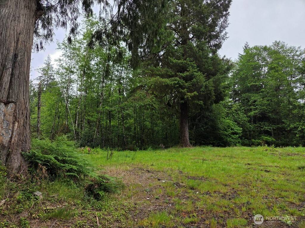 Longview, WA 98632,674 Mill Creek RD