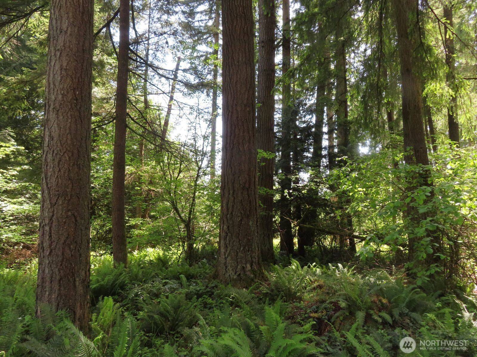 Rochester, WA 98579,5033 Polehn RD SW