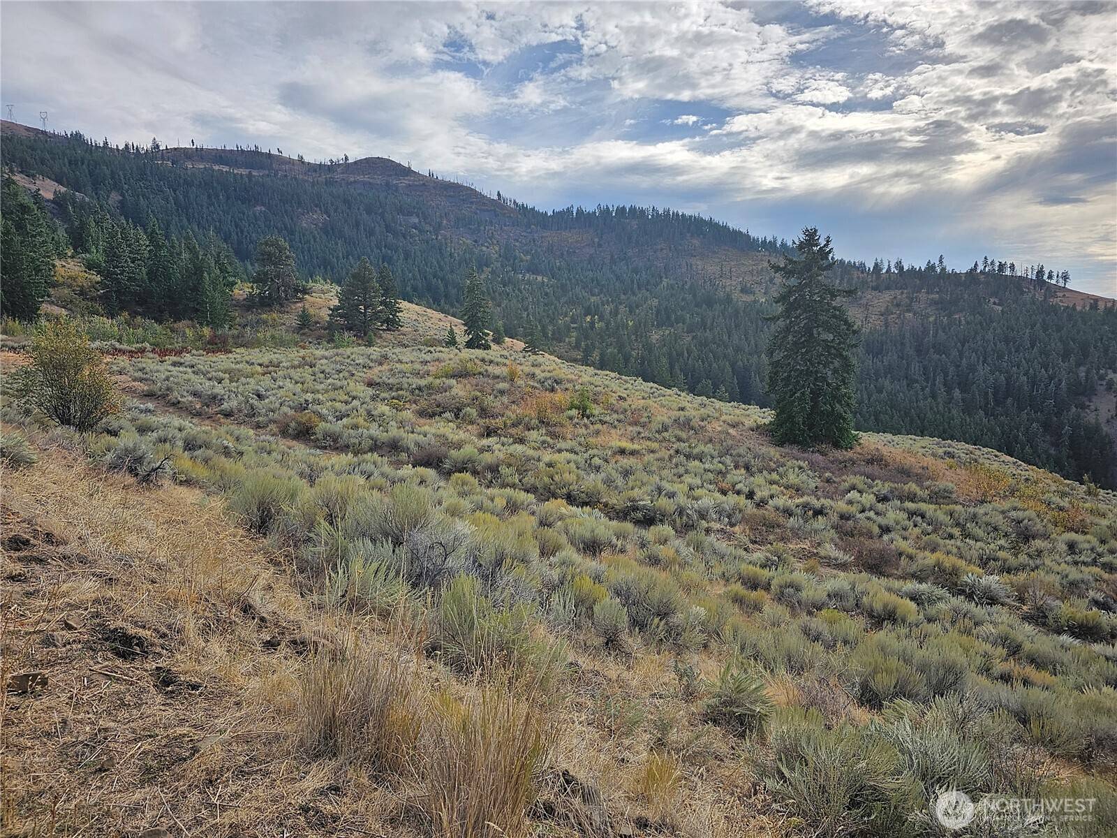 Waterville, WA 98858,1 xx Redfield RD