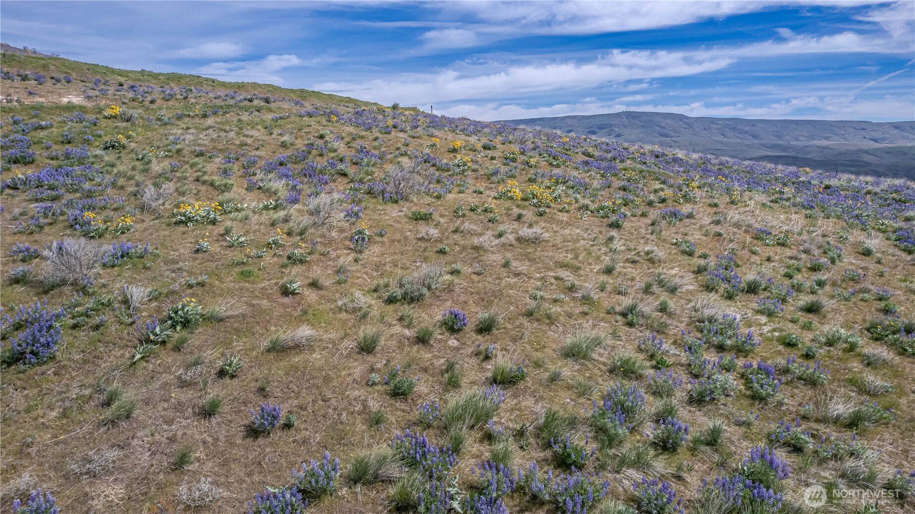 Wenatchee, WA 98801,0 Lot 1 Burch Mountain RD