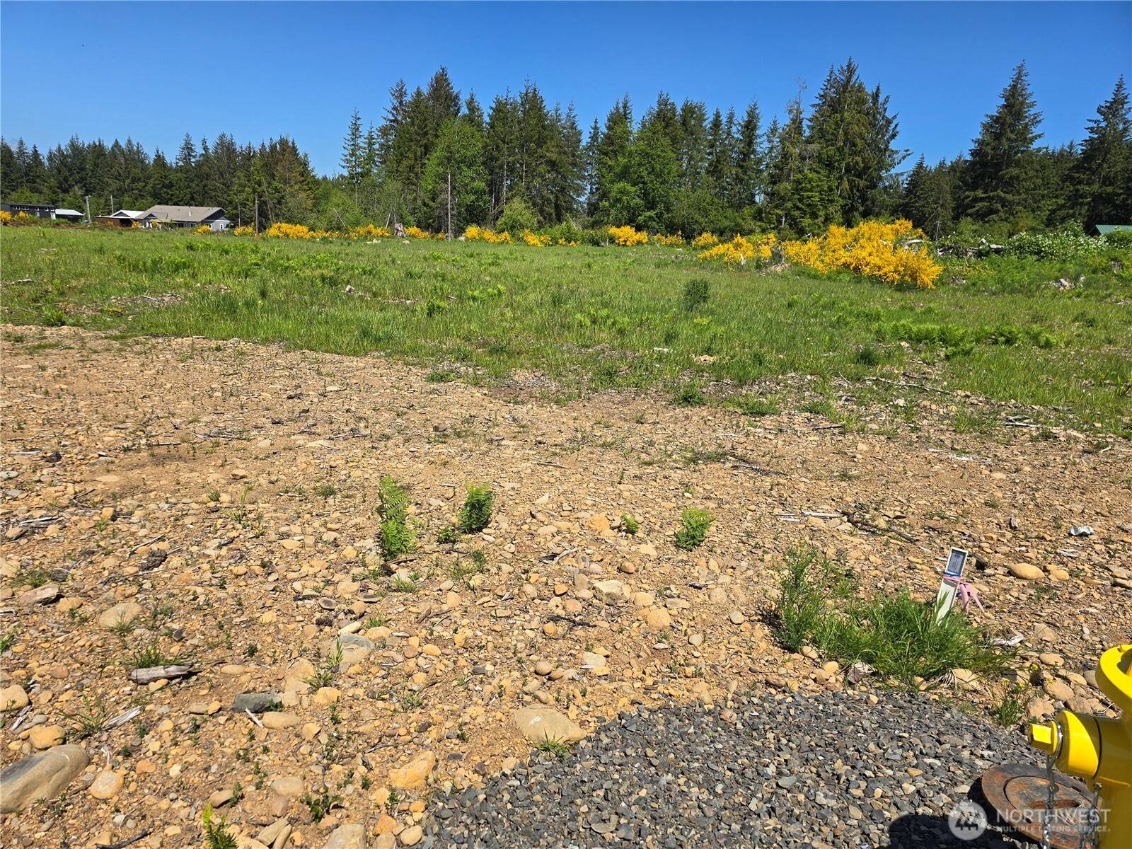 Forks, WA 98331,75 Newton RD