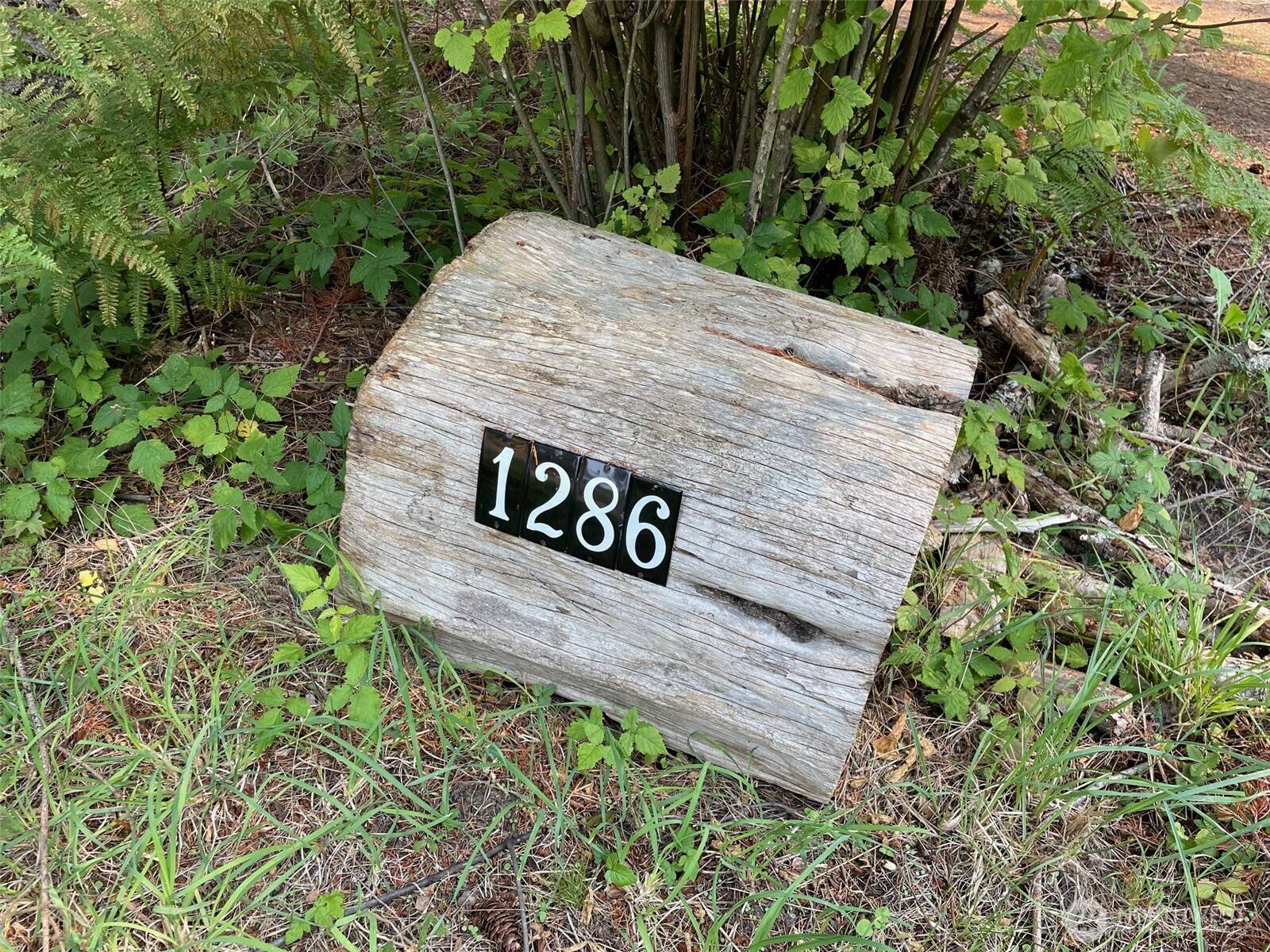 Lummi Island, WA 98262,1286 Island DR
