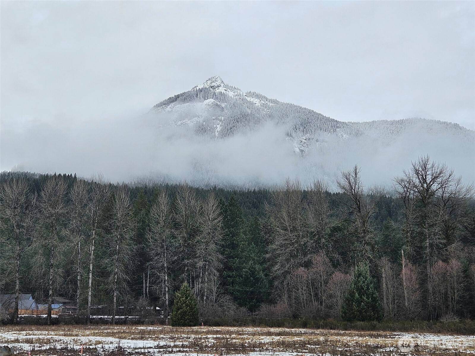 Packwood, WA 98361,111 Campfire LN